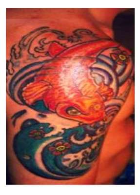 koi tattoo