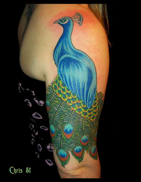 Peacock by Chris 51 tattoo