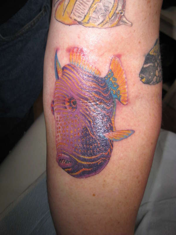MEAN FISH   middle of arm left tattoo