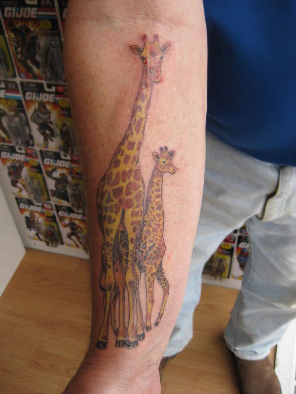 GIRAFFES   2 recently done by abby perry tattoo