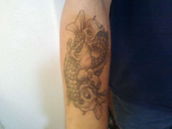Pises / Koi tattoo