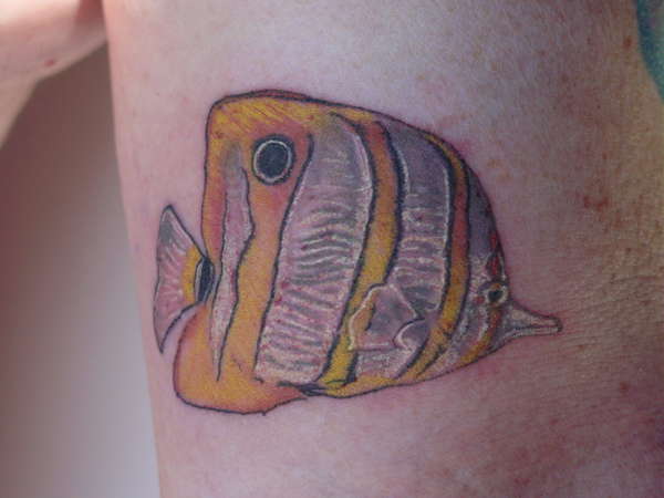TANG FISH by abby perry on the fish arm ! tattoo