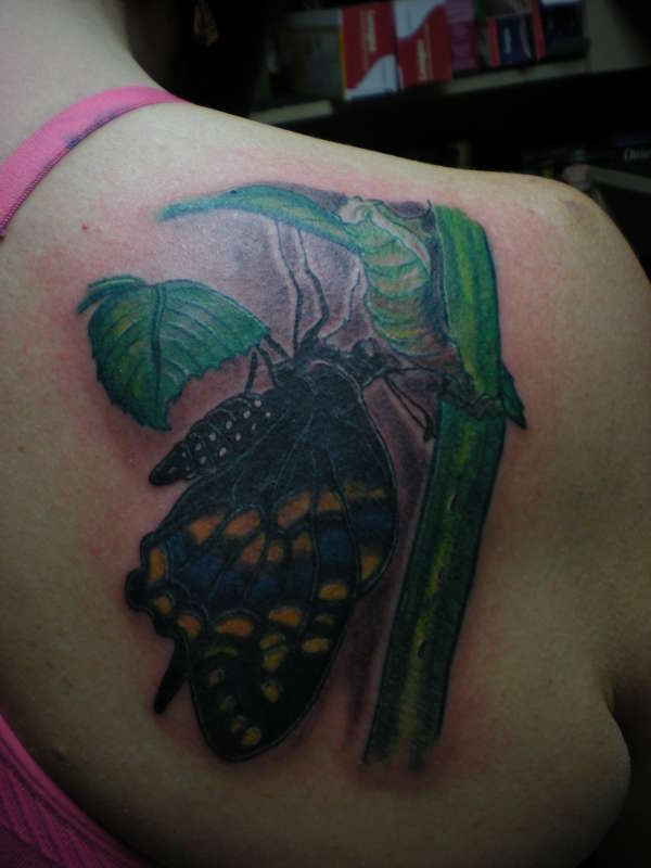 happy little butterfly tattoo