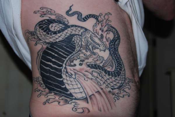 japanese snake and skull tattoo designs