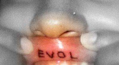 "EVOL" tattoo
