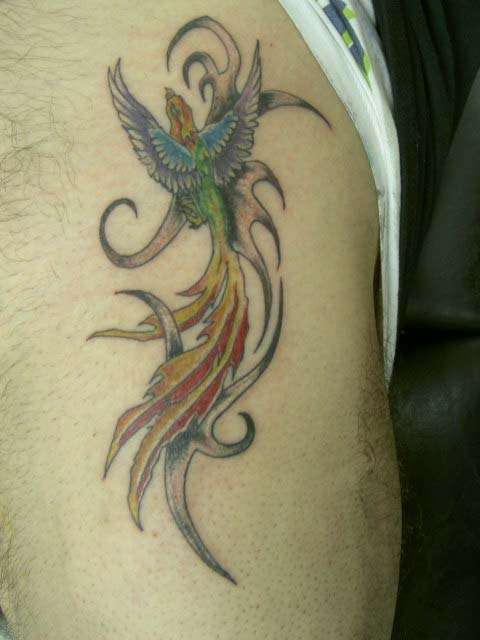 ANTHONYS BIRD tattoo