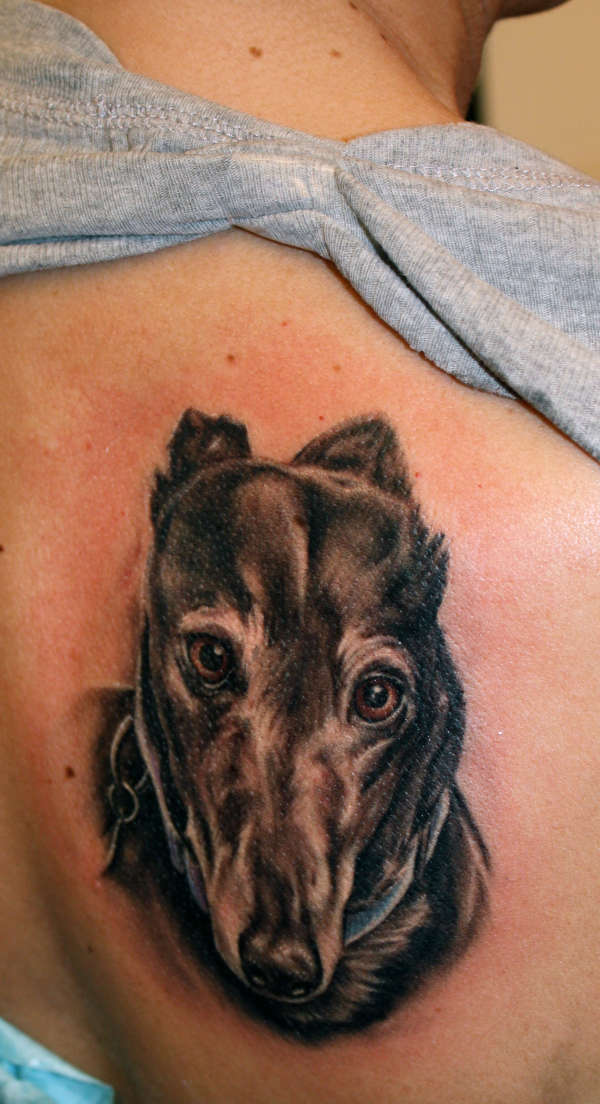 karla's greyhound tattoo