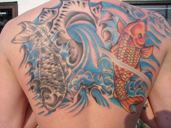 Koi tattoo