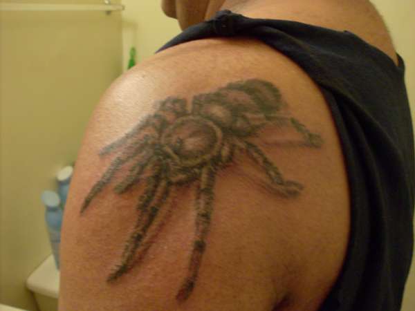 tarantula tattoo
