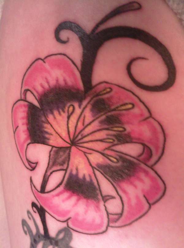 picture just doesnt do the colour justice!! tattoo