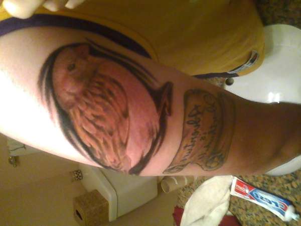 Sparrow and Scroll tattoo