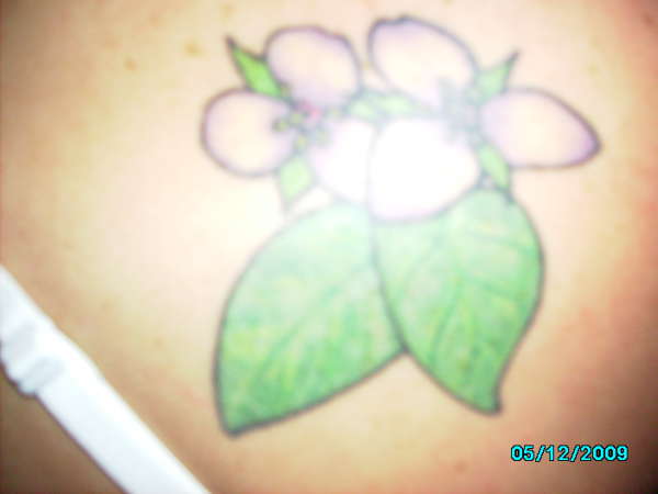 My tea leafs and "stinkin Benjamins" tattoo