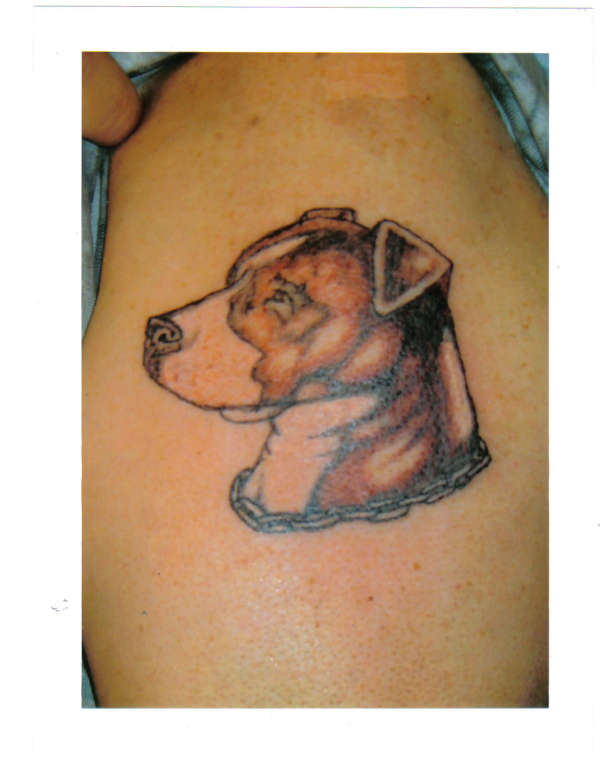 dog tat tattoo