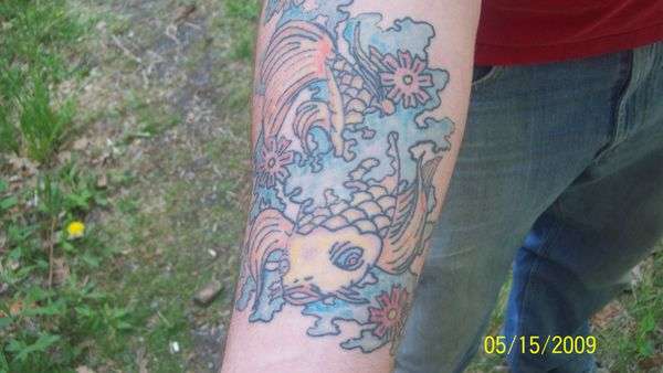 free handed koi tattoo