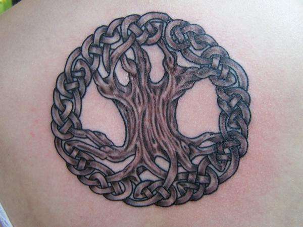 Celtic Tree of Life tattoo