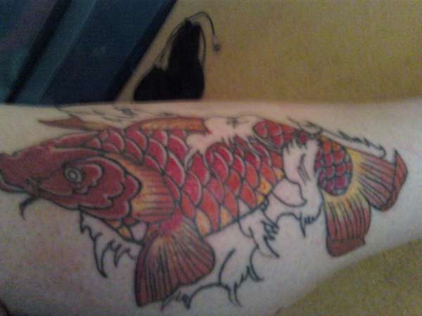 Koi on Side/Front of left leg. Working on my Sock. tattoo
