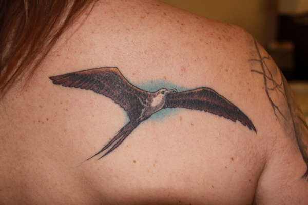 Man O War Bird tattoo