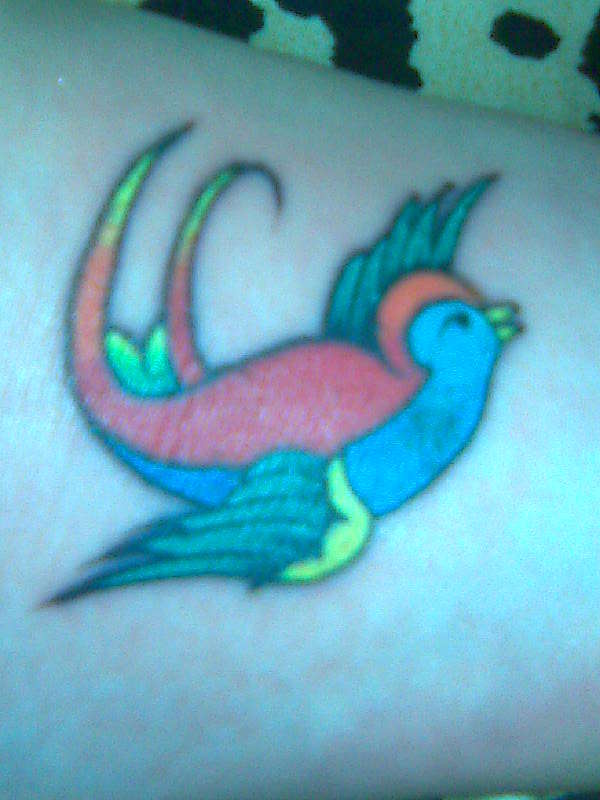 swallow tattoo