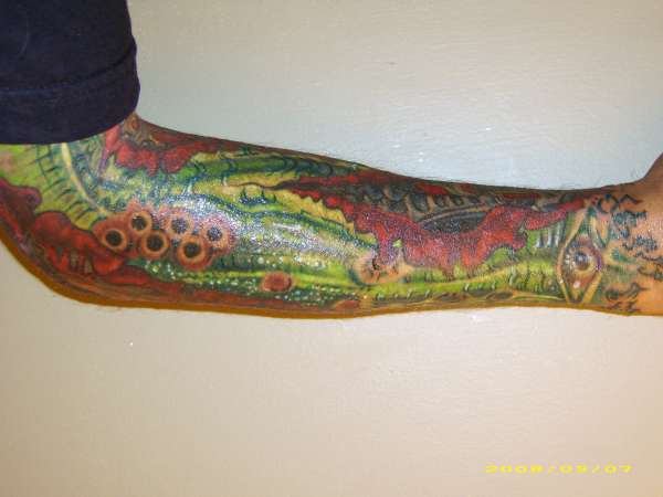 bio sleeve still in progress tattoo