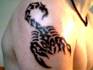 tribal scorpion tattoo