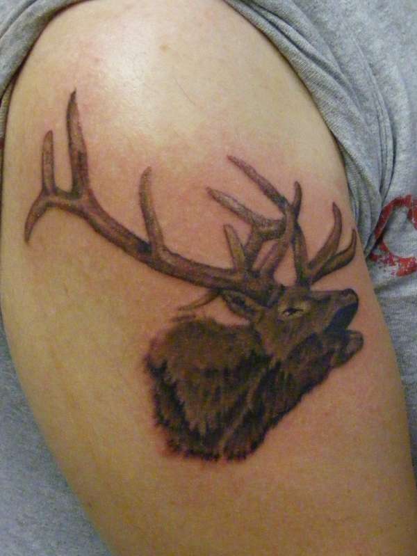 elk head tattoo