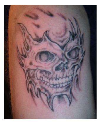 bob t skull tattoo