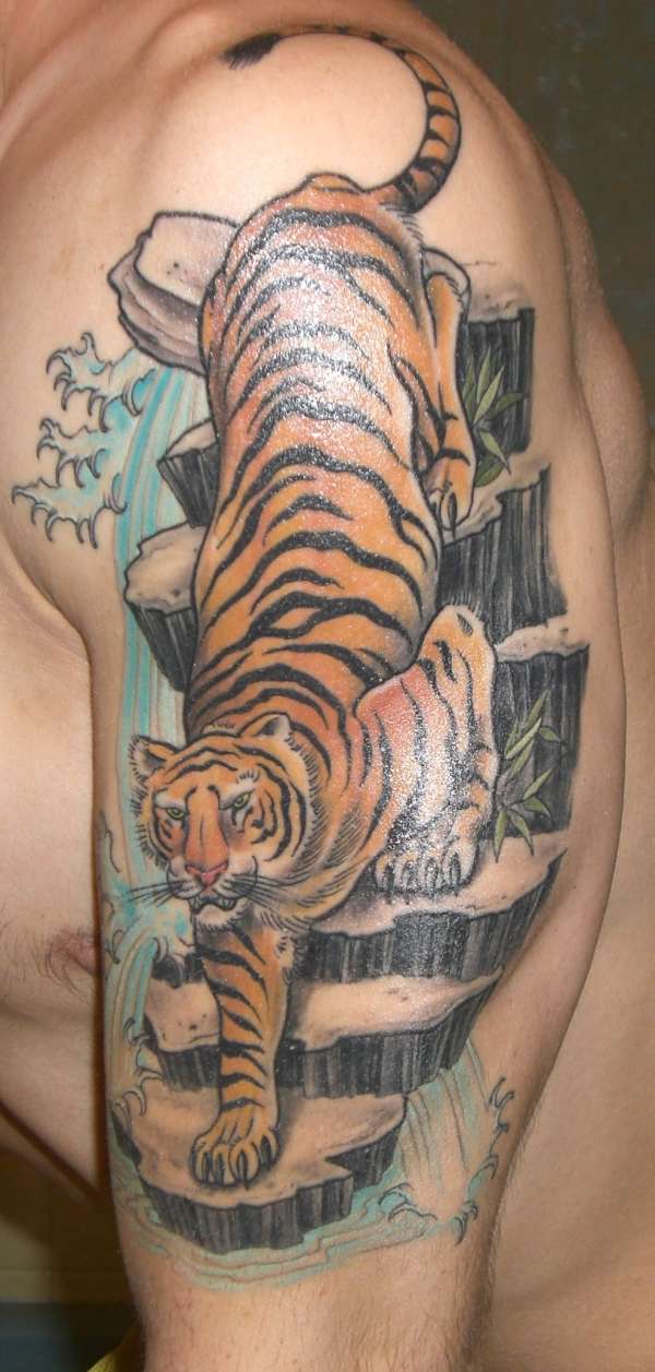tiger arm piece tattoo