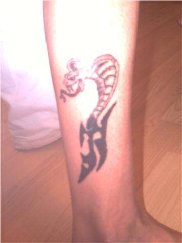 celtic python tattoo