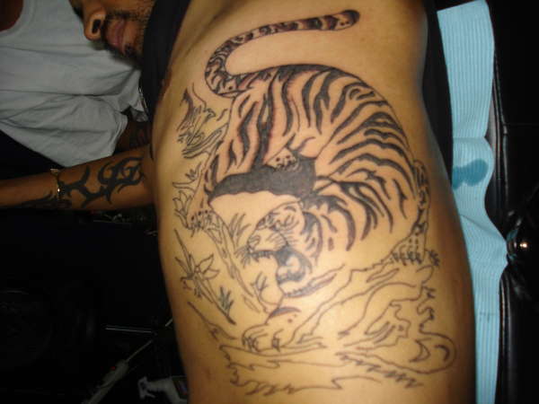 tiger not finished tattoo