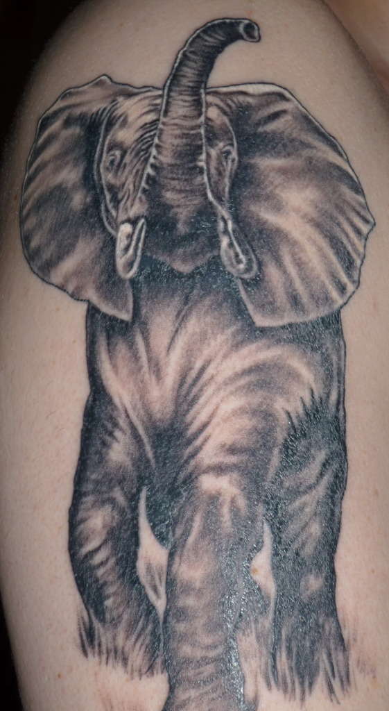 Elephant tattoo tattoo