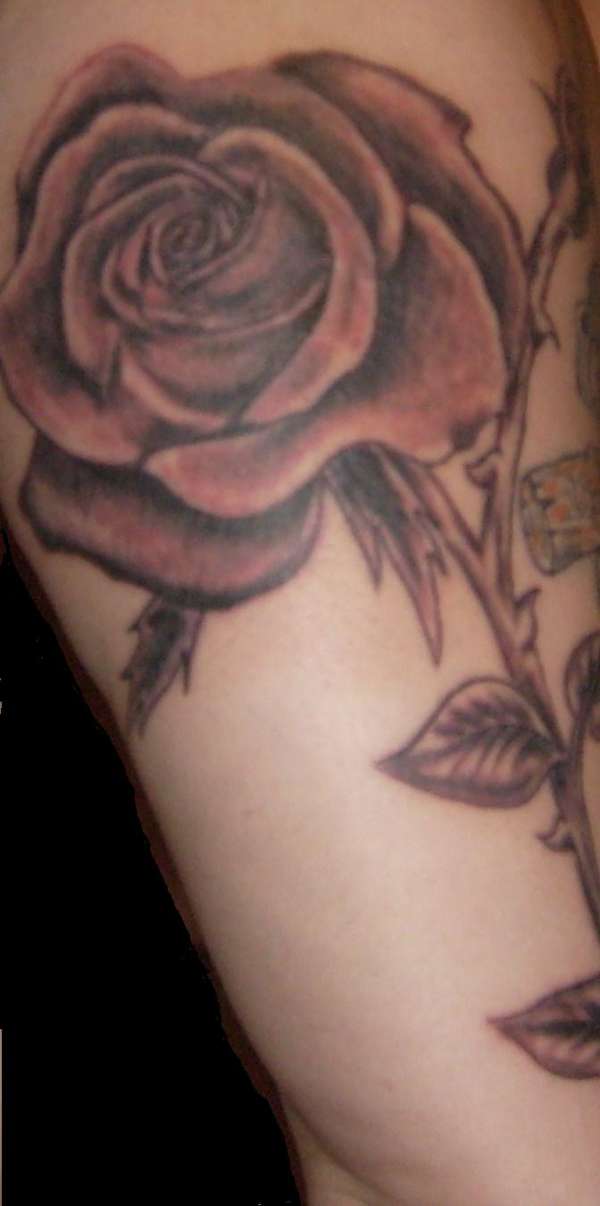 rose 3 tattoo
