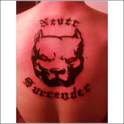 pit bull tattoo