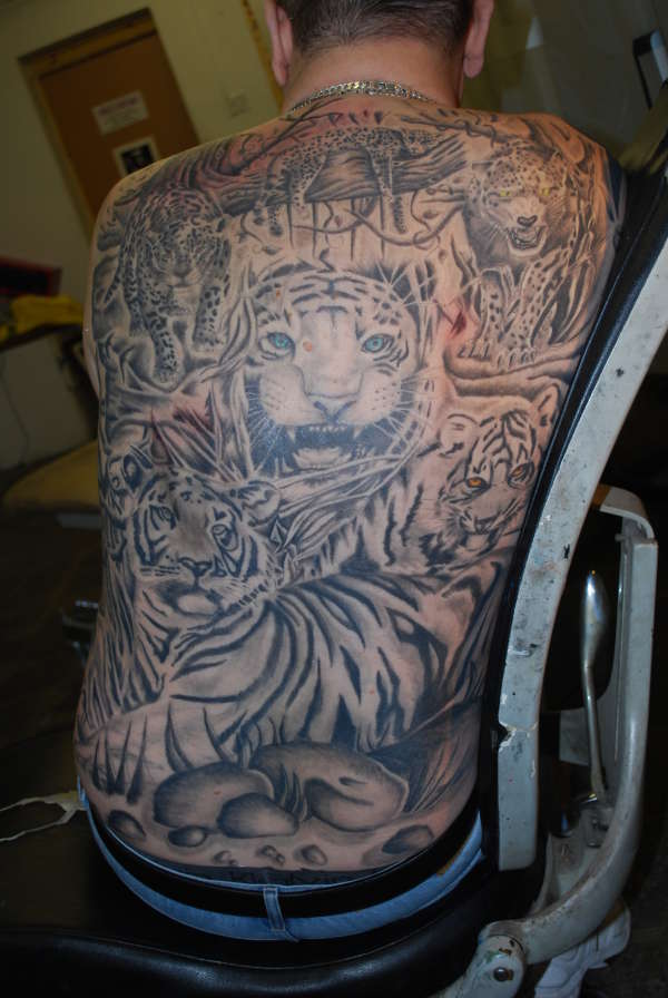 tiger back piece tattoo