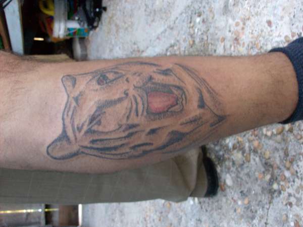 tiger tattoo