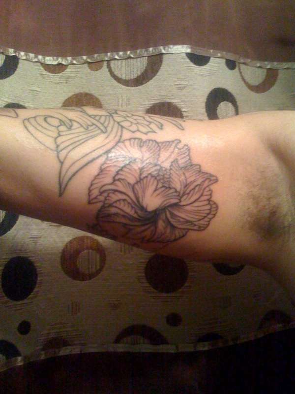 koi 3/4 Sleeve 2nd Session tattoo