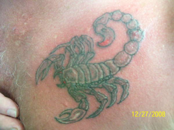 grey wash scorpion tattoo