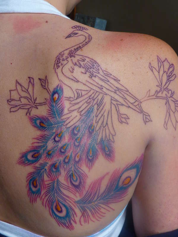 peacock on right shoulder 1st sitting tattoo