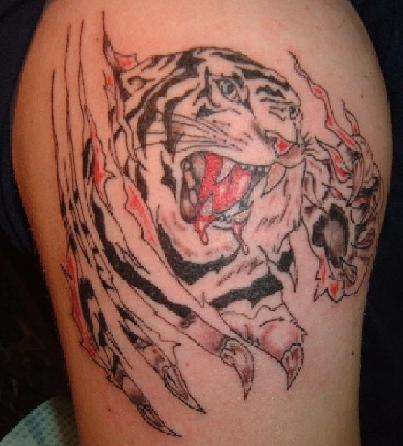 tiger shred tattoo
