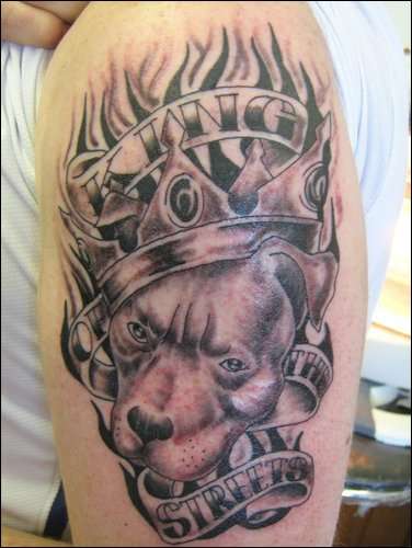 pitbull boog tattoo
