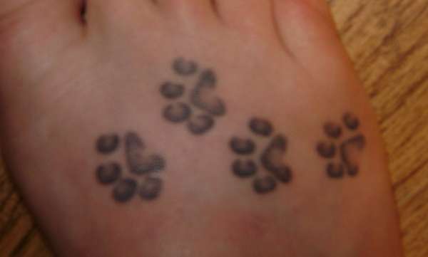 cat paw prints tattoo