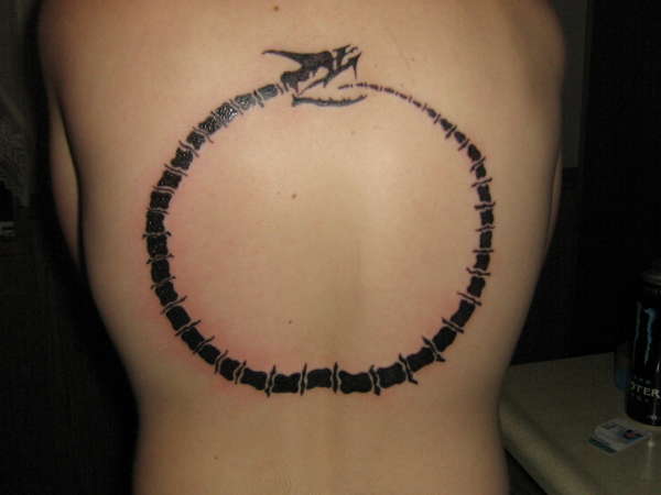 snake sketeton tattoo