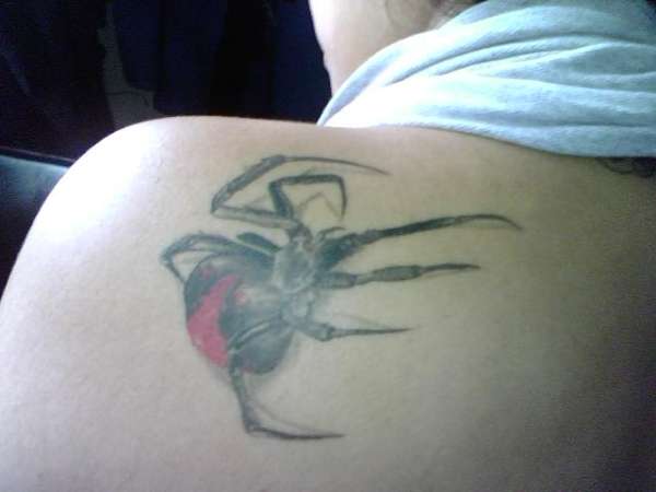 spider tattoo