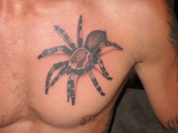 spider tattoo