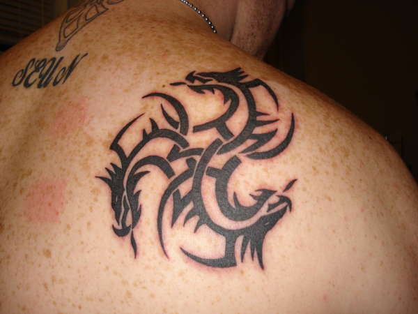triple strength celtic dragon tattoo