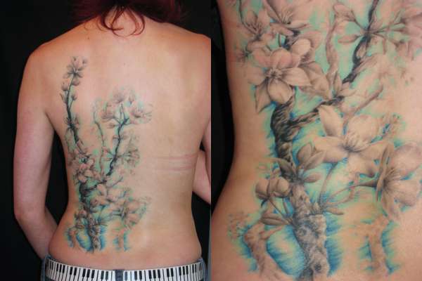 Soft Cherry Blossoms tattoo