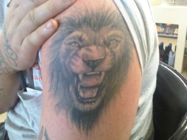 liger tattoo