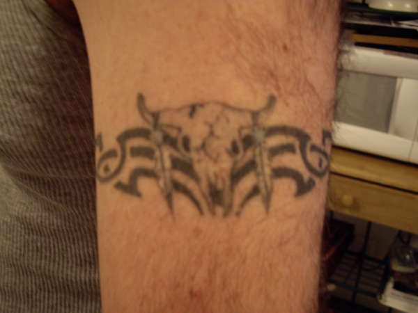 steer skull tattoo