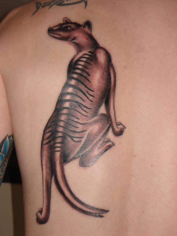 Thylacine tattoo