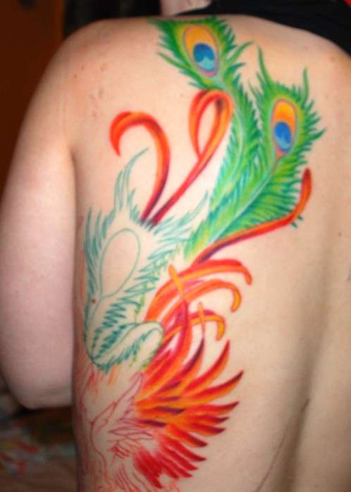 WIP - Phoenix tattoo