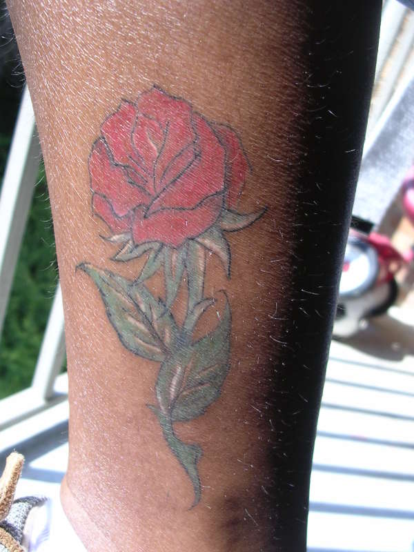 rose tattoo